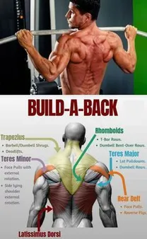 Benefits of Upper Back Calisthenics